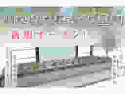 川越樹木葬さくら霊廟