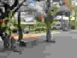 乗満寺
