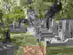 清源院