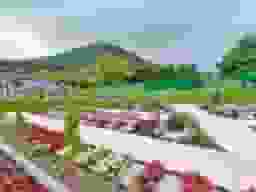 藤野聖山園