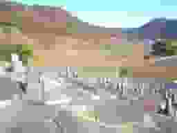 洞霊苑