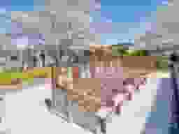 浄林寺
