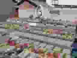 妙法寺 丸亀さくら想苑