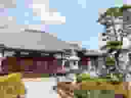 善福寺 緑樹の郷
