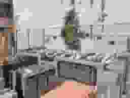 外苑こもれびの杜