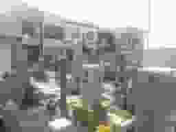 高木墓地
