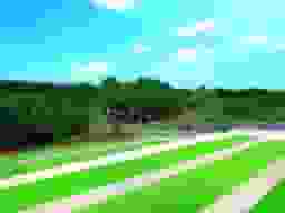 鉢ヶ峯堺中央霊園