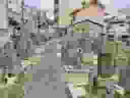 大今里墓地