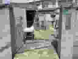 大今里墓地