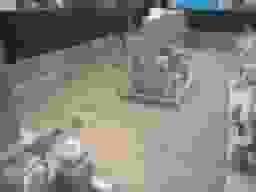 誓弘寺