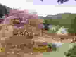 往生院