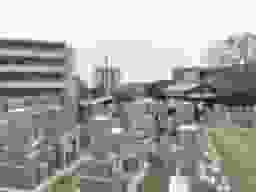 馬場荒堀墓地