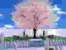 メモリアルパークWith大町