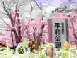 慶栄寺 樹木葬・永代供養墓
