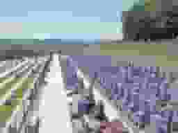 霊園風景