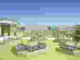 霊園全景