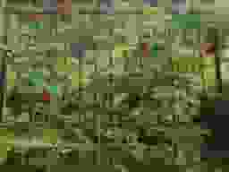GARDEN'S倉敷