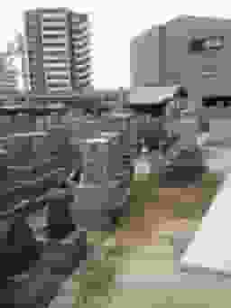 放出墓地