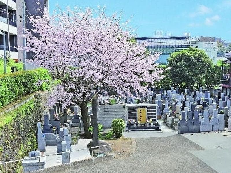港区高輪 正源寺墓苑