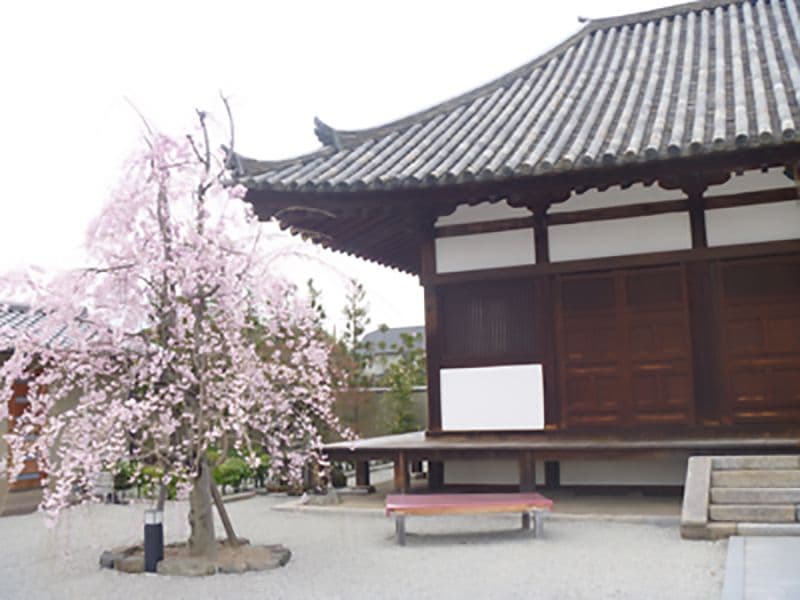 額安寺霊園