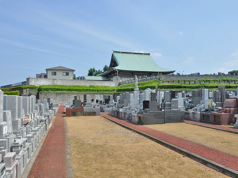 ヒルズ川口