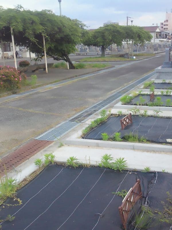 東大阪市営 荒本墓地　整理された区画