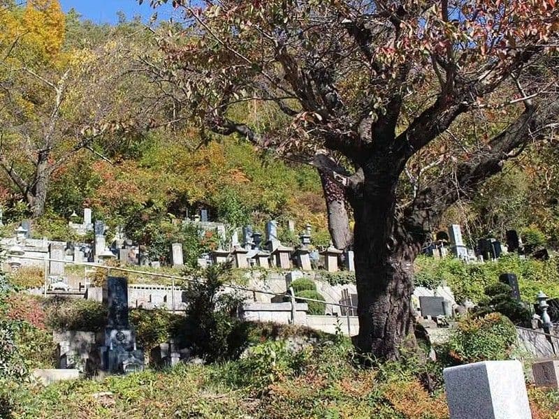 善徳寺墓地