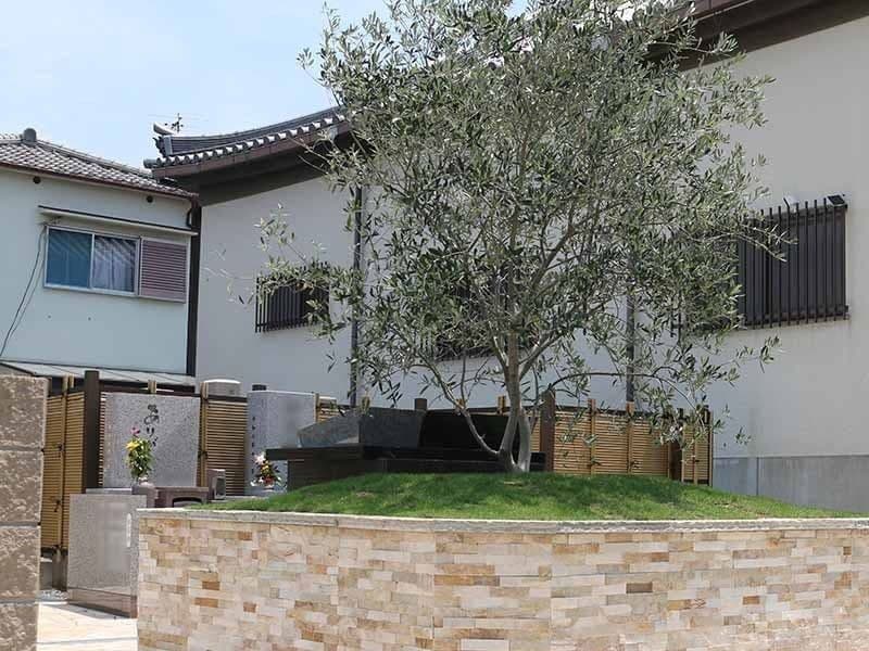 延光寺 永代供養付樹木葬・合祀墓・一般墓