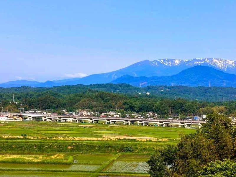 洞昌寺「不忘の塔」