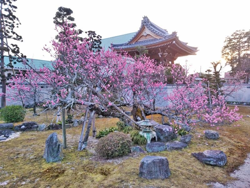 常光寺