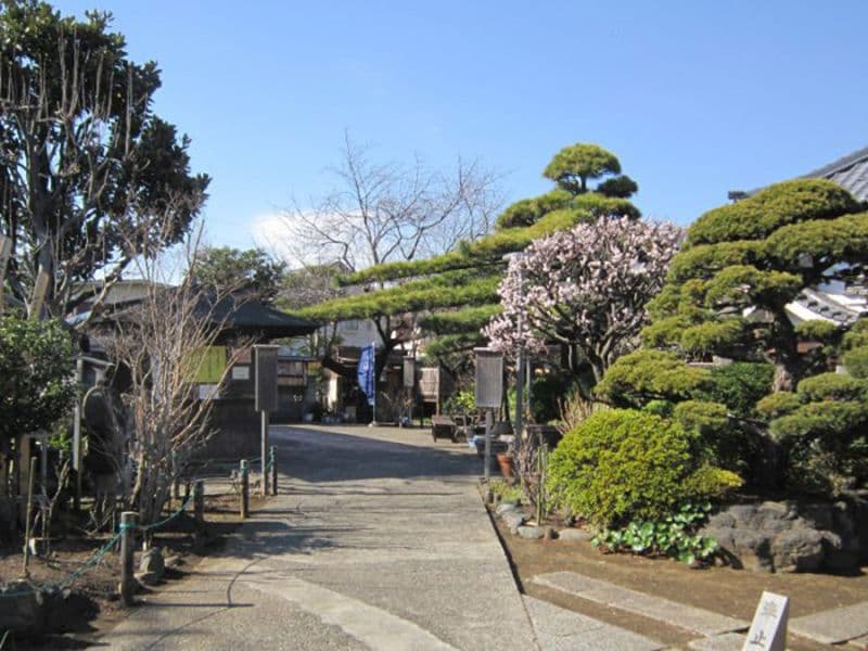 蓮華寺