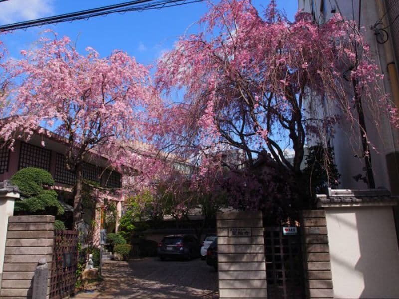 聖輪寺墓苑