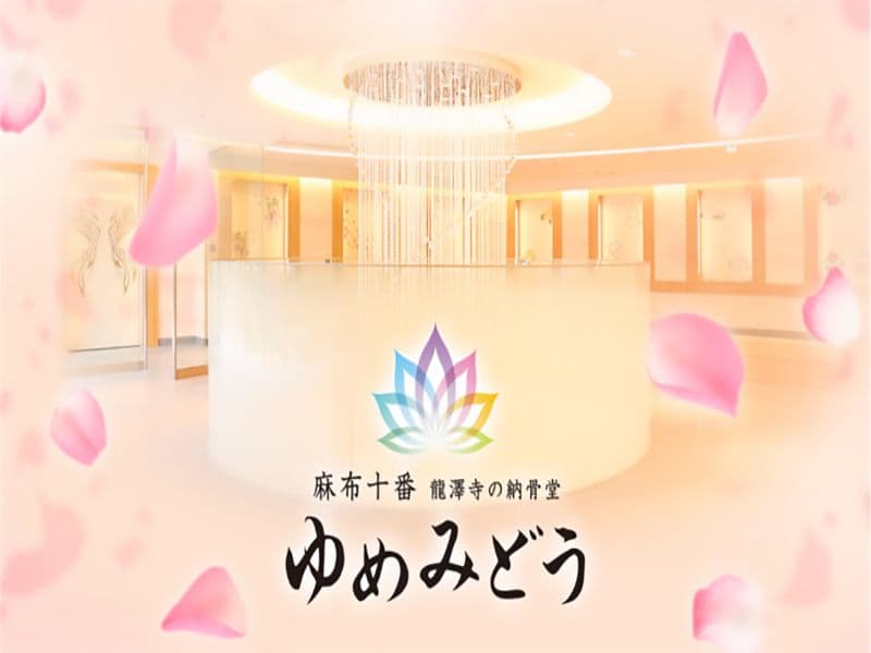 ピンクの花びらが舞うゆめみどうのイメージ画像