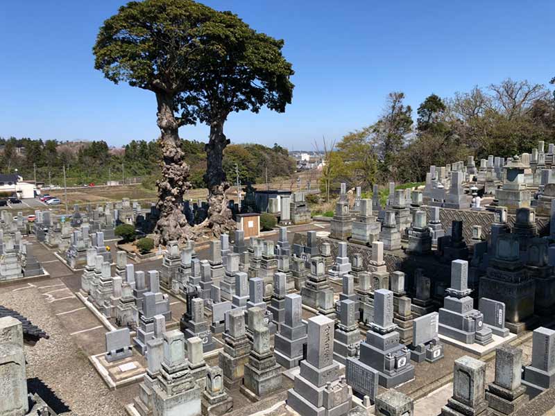 三国南本町墓地