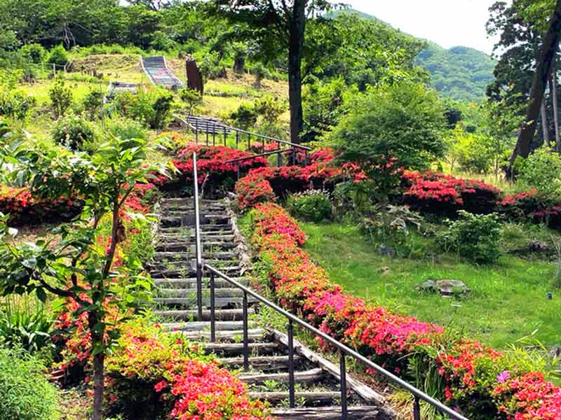 千の風 みらい園　日当たりのよい斜面