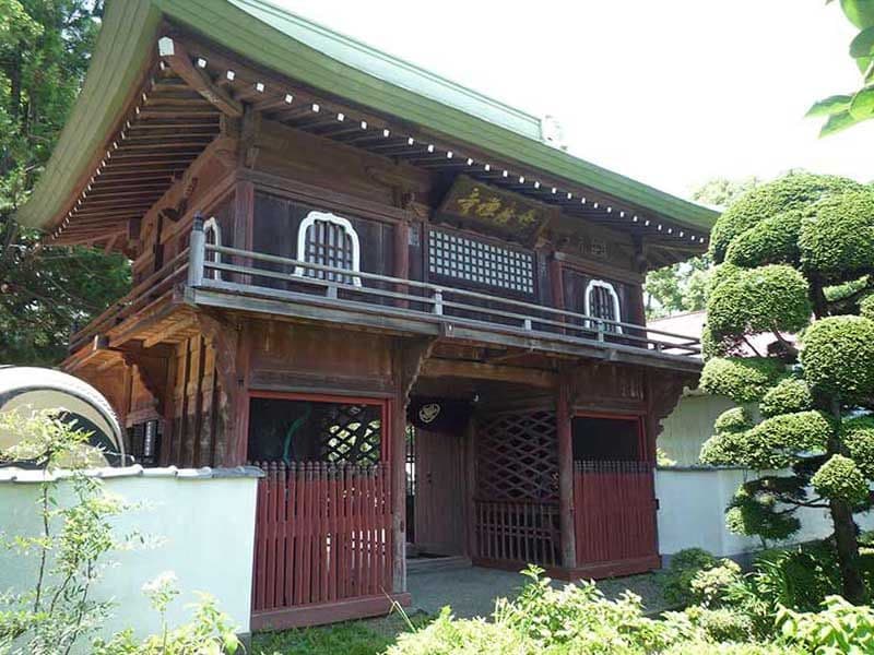 修廣寺　緑に囲まれた山門