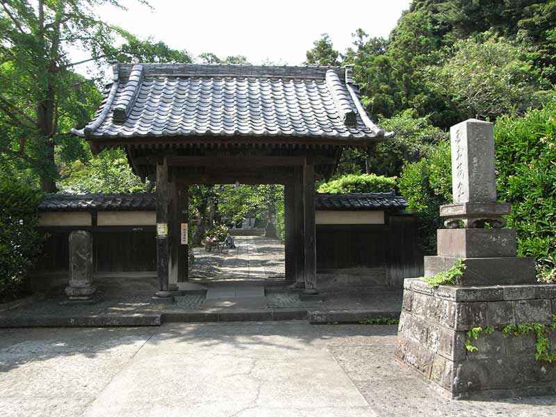 妙光寺　緑に囲まれた山門