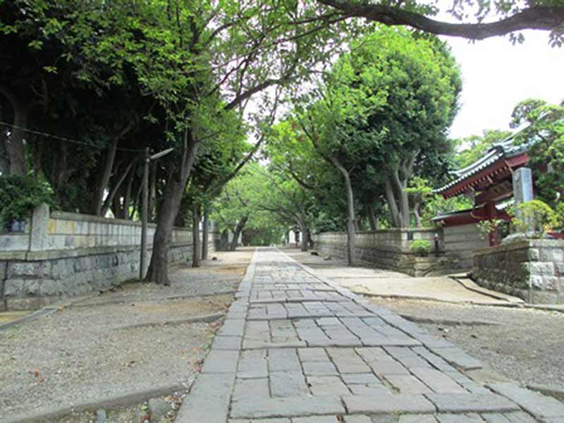 真徳寺　植栽が美しい参道