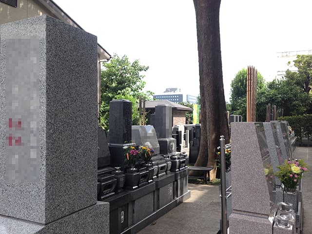 文京こひなた霊園　大木がある園内