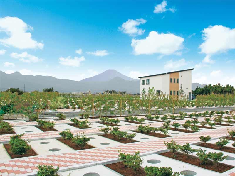 小田原富士見霊苑　自然豊かな霊園内