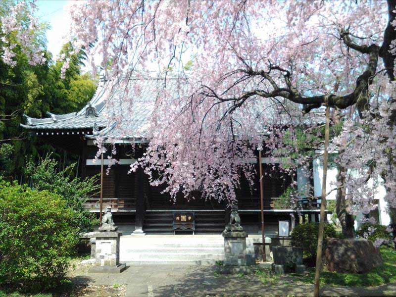 常徳山 玄照寺