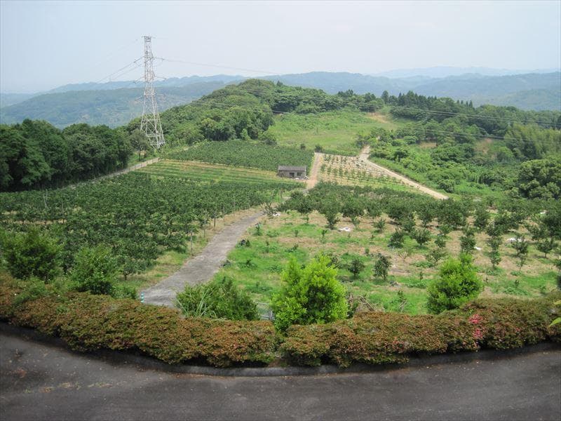 天空の郷有明墓園