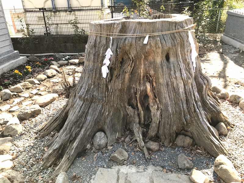 観音院珠花散骨