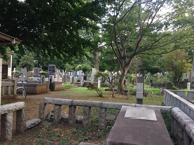 都立 雑司ヶ谷霊園　自然に触れられる園内