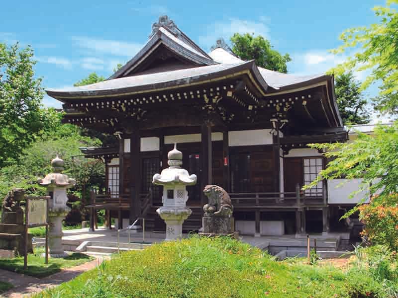 新緑が心地いい苑内