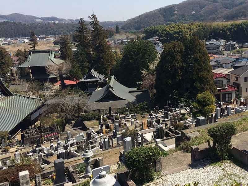 見晴らしのよい苑内