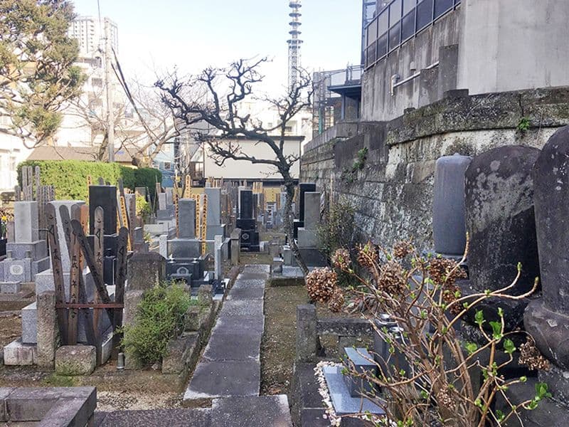浄土宗 清光山 林泉院 安養寺