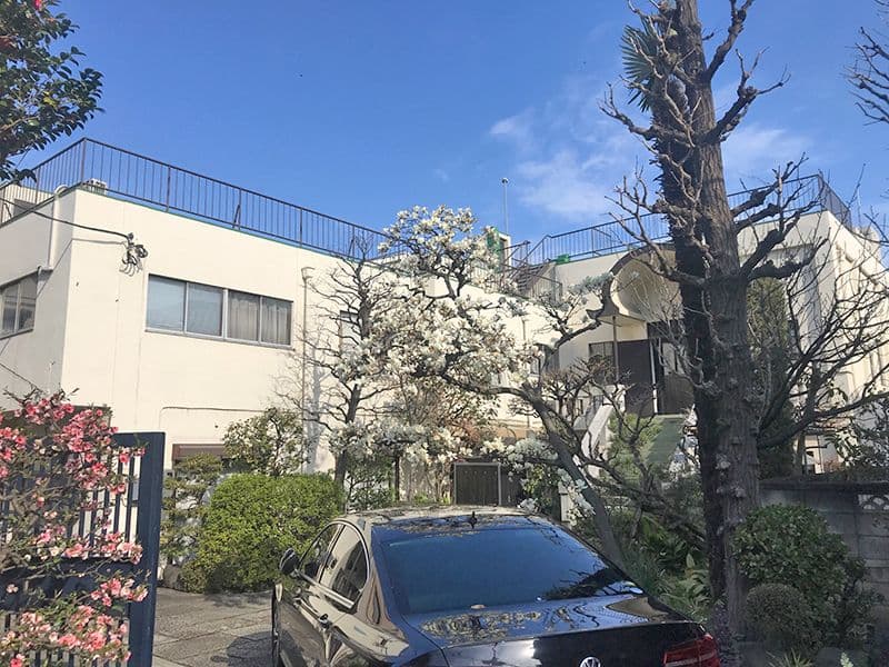 林光寺