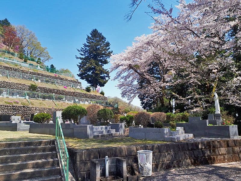カトリック五日市霊園　桜が舞う霊園内