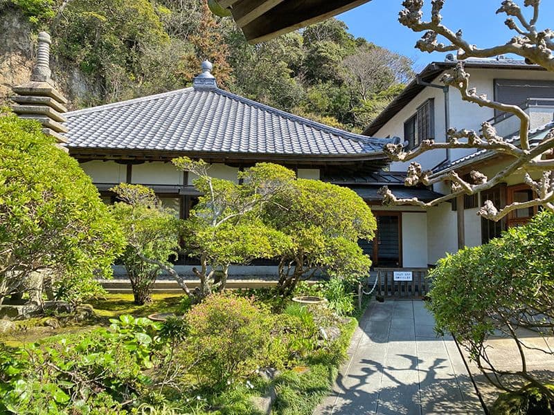 安養院　美しい植栽